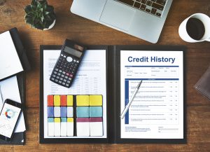 Credit History Invoice
